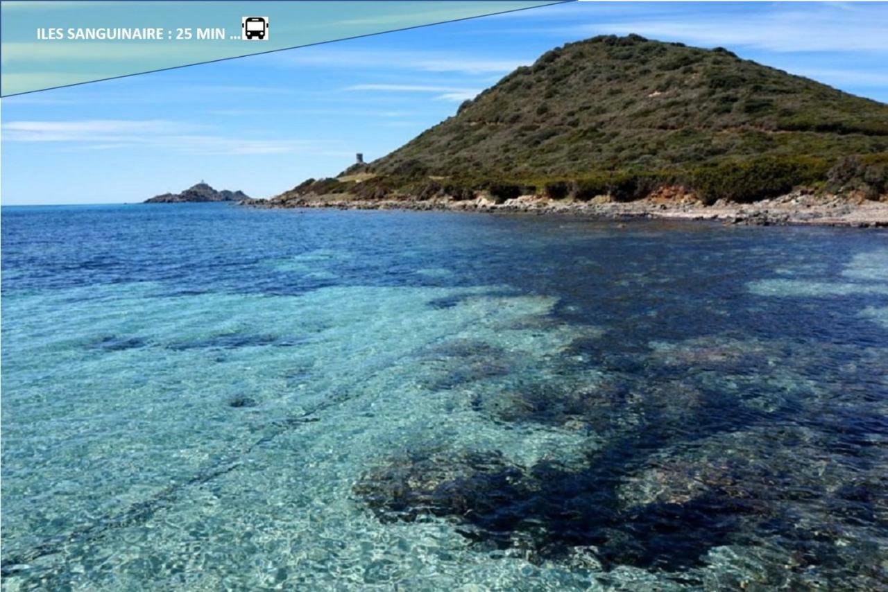 Centre Ajaccio ☆ Wifi ☆ Clim ☆ Plages Εξωτερικό φωτογραφία
